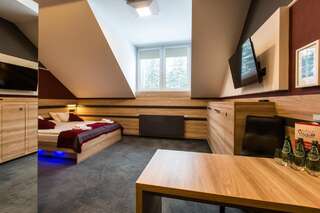 Отели типа «постель и завтрак» Villa Winterpol Карпач Улучшенный двухместный номер с 1 кроватью-2