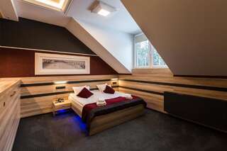 Отели типа «постель и завтрак» Villa Winterpol Карпач Улучшенный двухместный номер с 1 кроватью-9